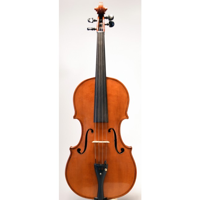 Amedeo Berganton viola