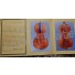 SantaGiuliana violin