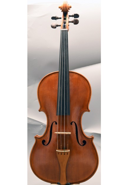 Alfredo Gianotti viola