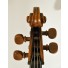 violoncello piccolo