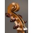 5 string baroque cello