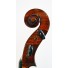 Charles Buthod cello